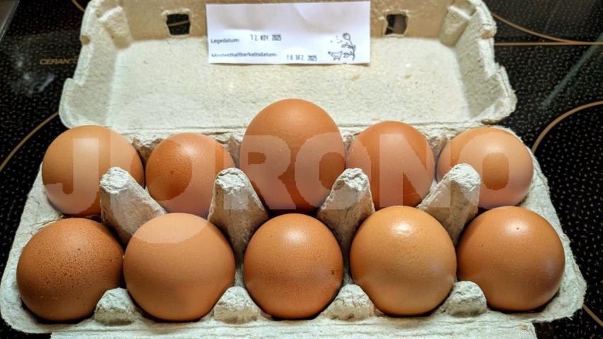 Die besten Eier vom Hof
