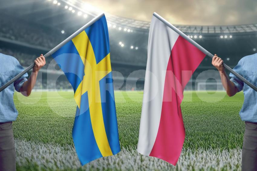 WM Qualifikation Schweden vs Polen