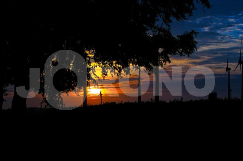 Aus der Kategorie Landschaft