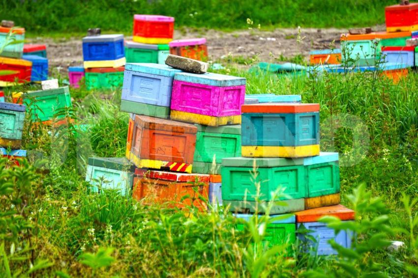 Aus der Kategorie Landschaft