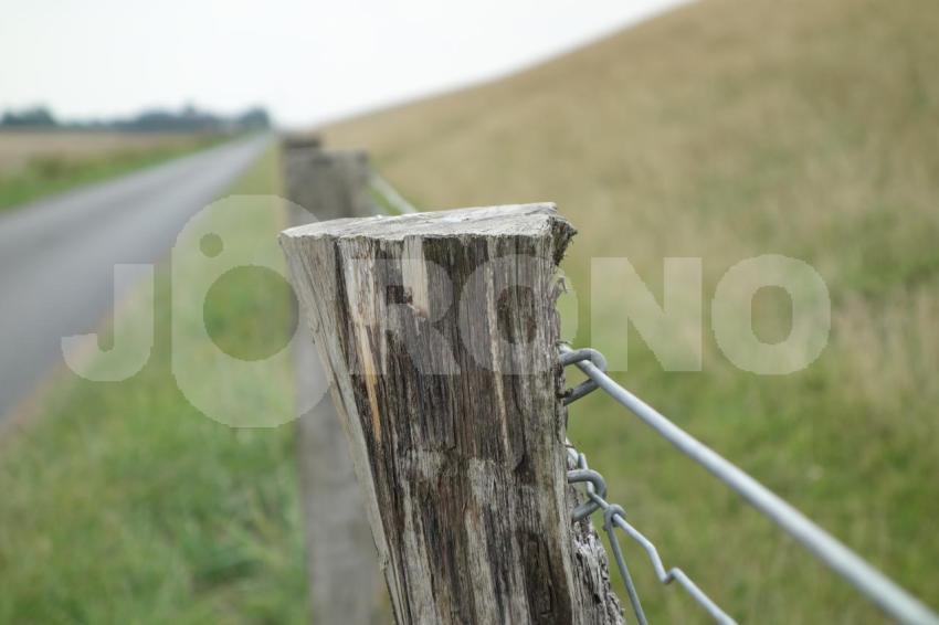 Aus der Kategorie Landschaft