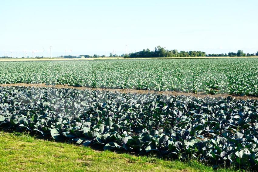 Aus der Kategorie Landschaft&Natur