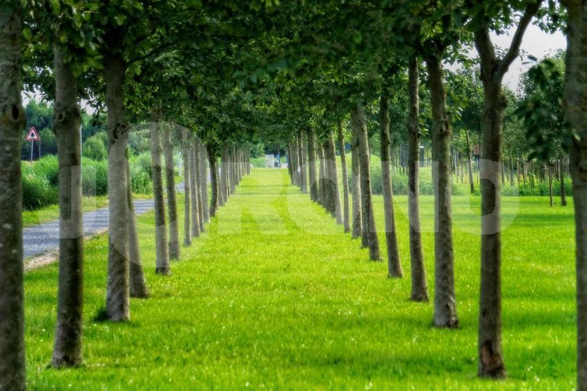 Aus der Kategorie Landschaft&Natur