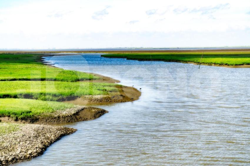 Aus der Kategorie Landschaft&Natur