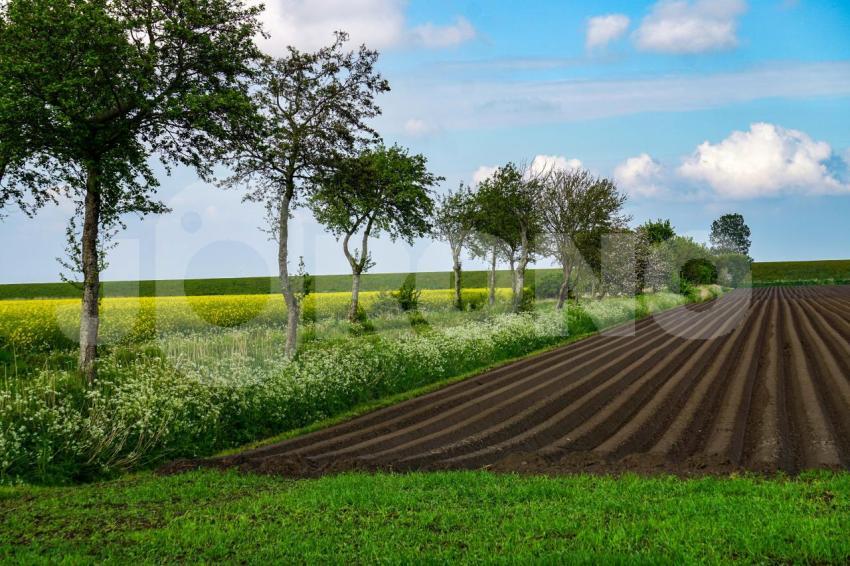 Aus der Kategorie Landschaft&Natur