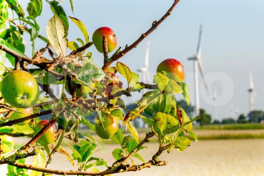 Aus der Kategorie Landschaft