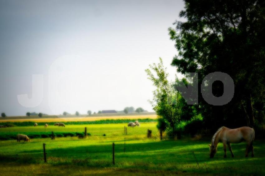 Aus der Kategorie Landschaft&Natur