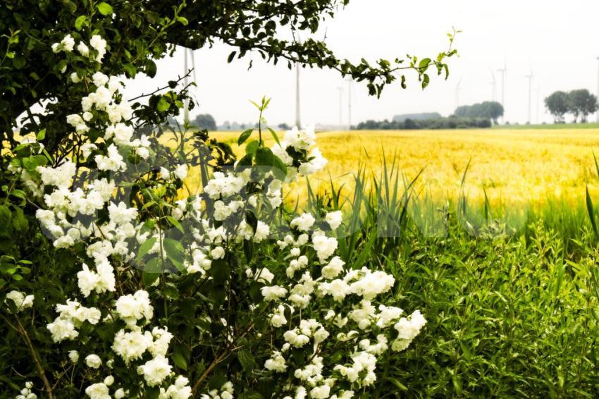 Aus der Kategorie Landschaft&Natur