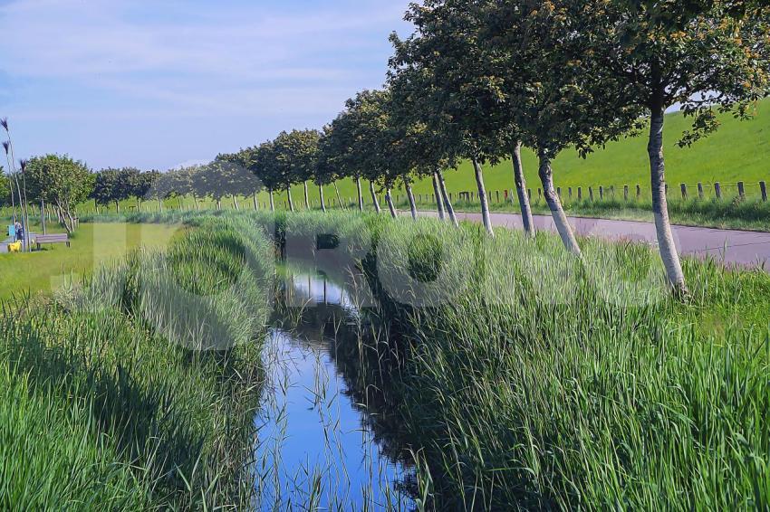 Aus der Kategorie Landschaft&Natur