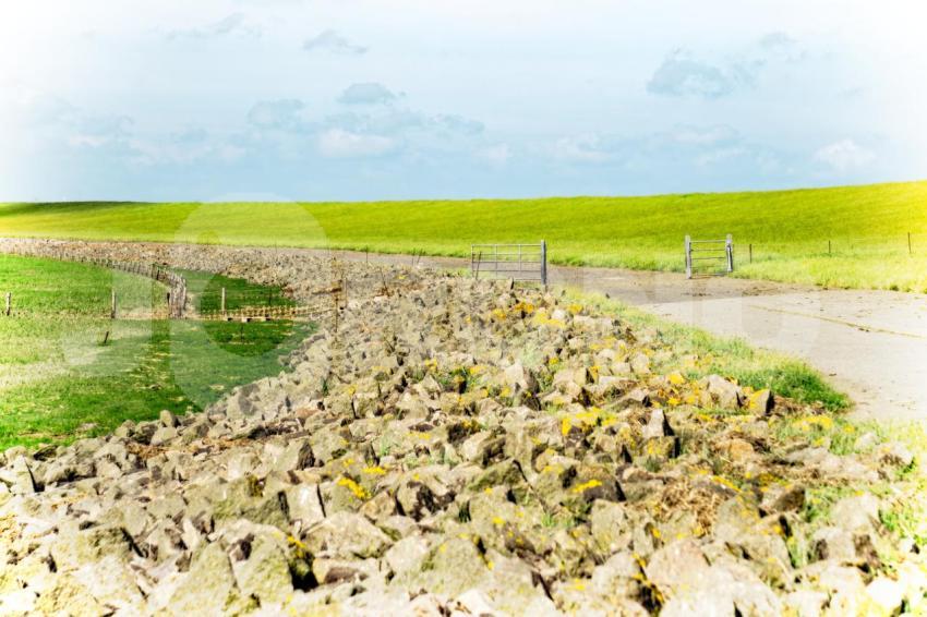 Aus der Kategorie Landschaft&Natur