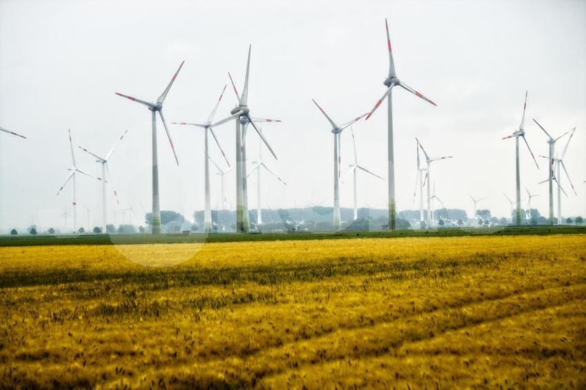 Aus der Kategorie Landschaft&Natur