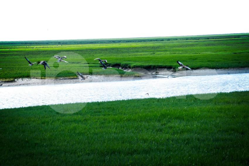 Aus der Kategorie Landschaft&Natur