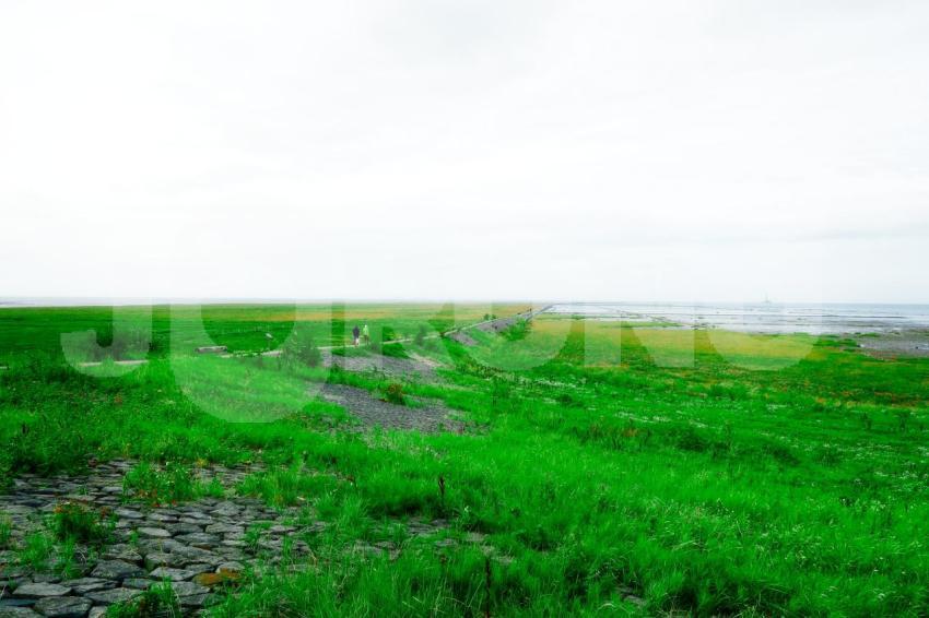 Aus der Kategorie Landschaft&Natur