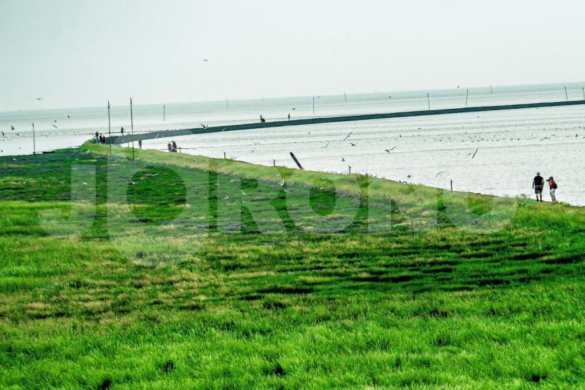 Aus der Kategorie Landschaft