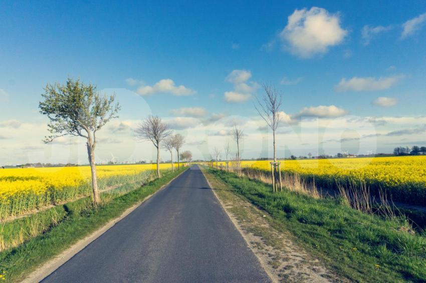 Aus der Kategorie Landschaft