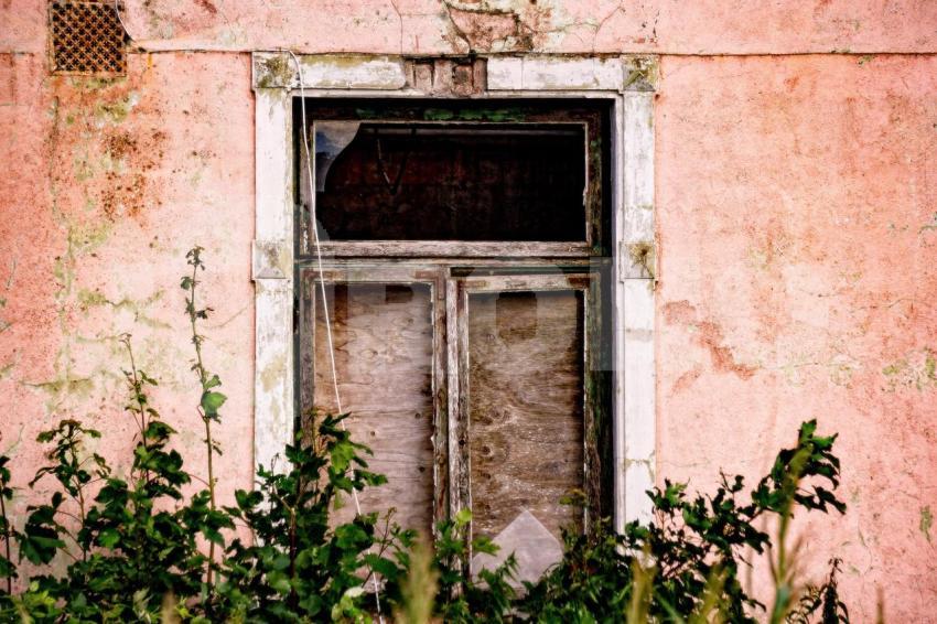 Aus der Kategorie Landschaft&Natur