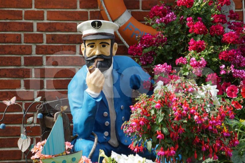 Aus der Kategorie Blumen&Pflanzen