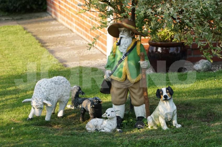 Aus der Kategorie Blumen&Pflanzen