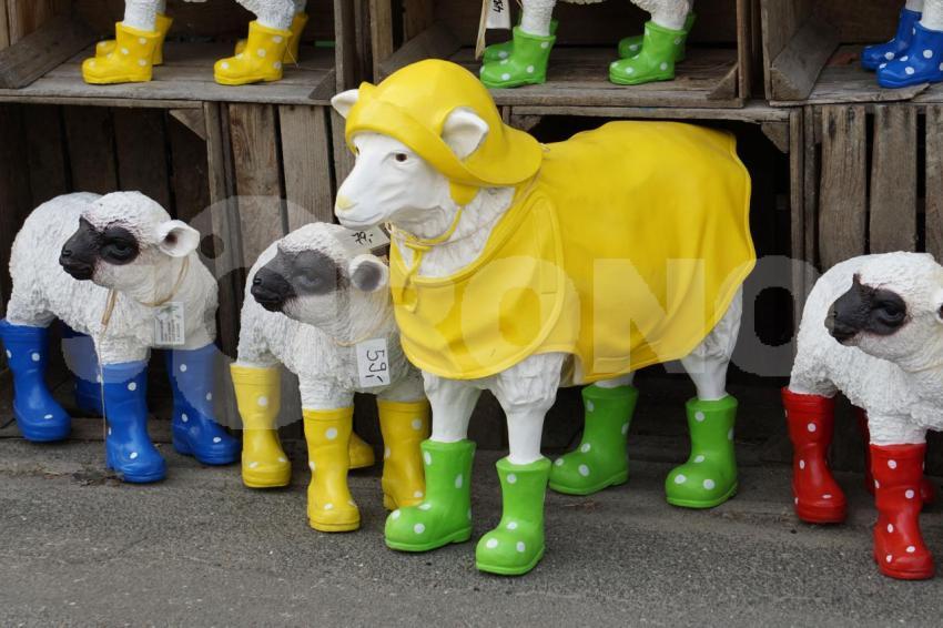 Aus der Kategorie Blumen&Pflanzen