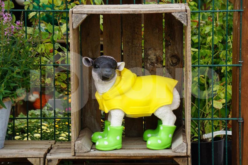 Aus der Kategorie Blumen&Pflanzen