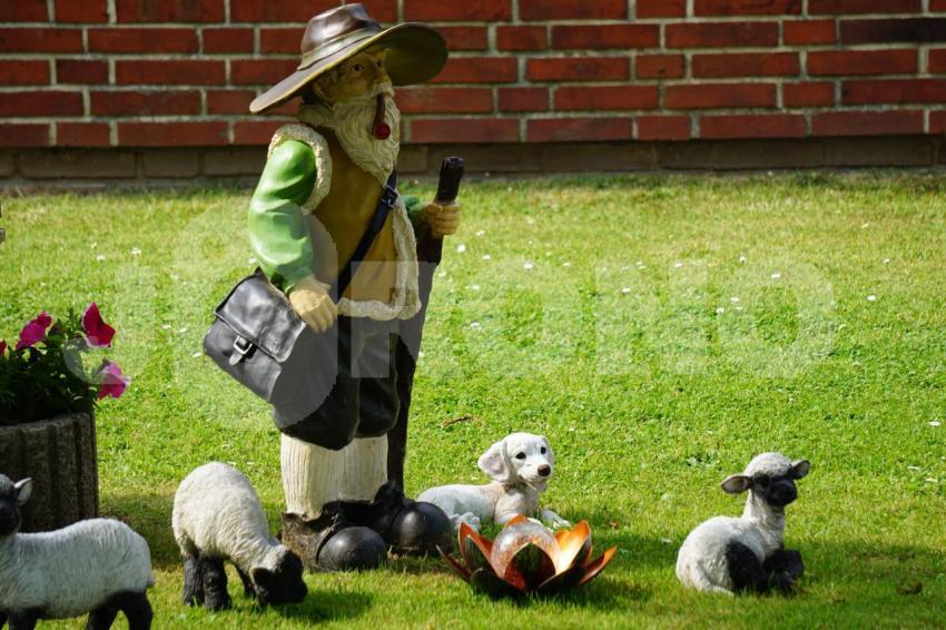 Aus der Kategorie Blumen&Pflanzen