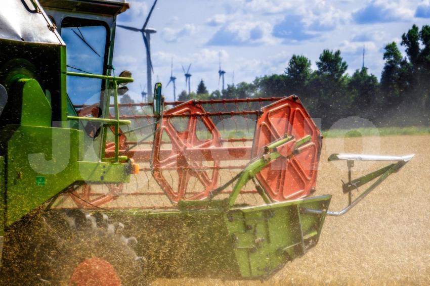 Mähdrescher bei der Ernte