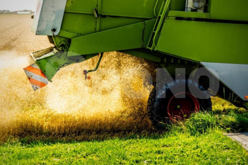 Mähdrescher bei der Ernte