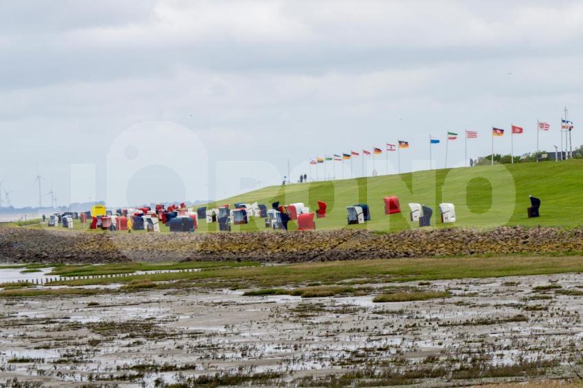 Spitze Friedrichskoog, vor dem Deichumbau