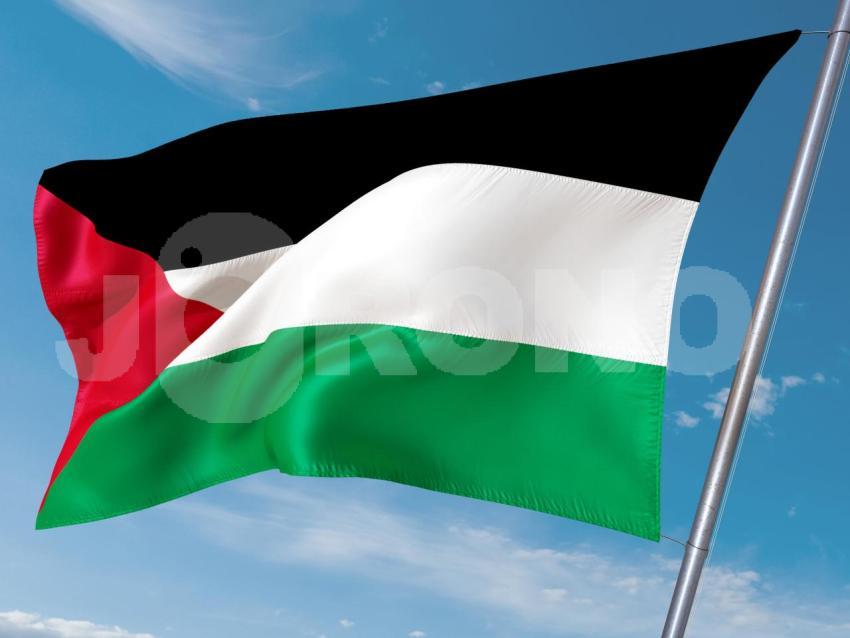 Palestina   Palestine