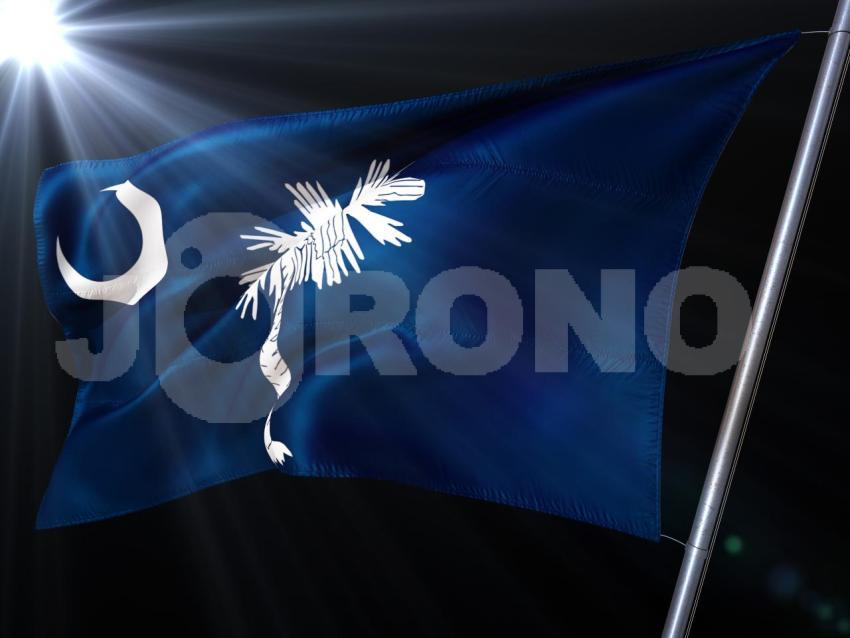 South Carolina by Night