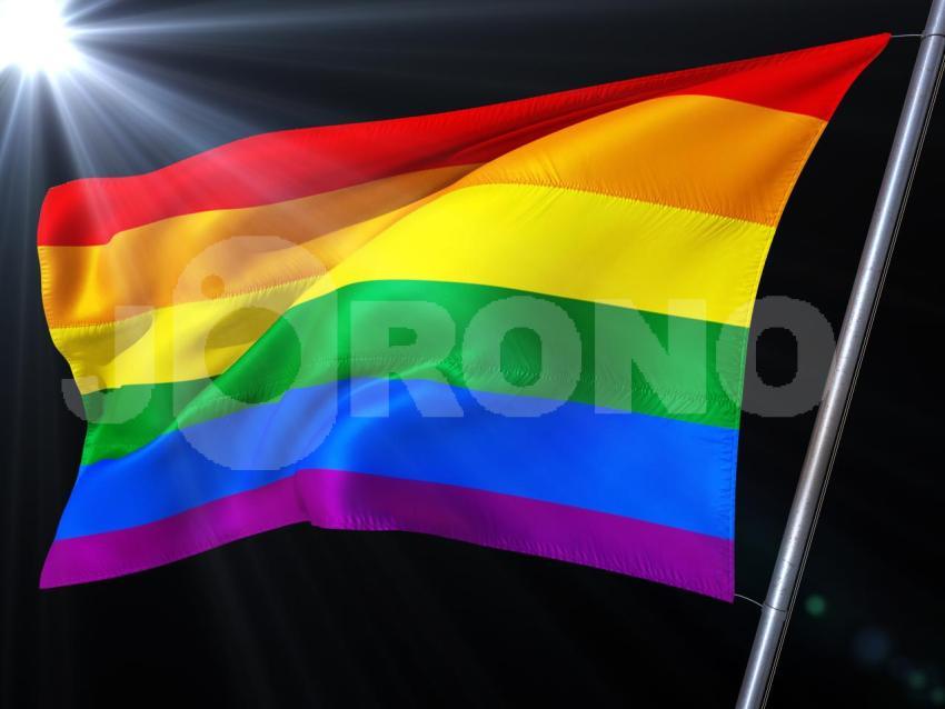 Regenbogenfahne  Peace