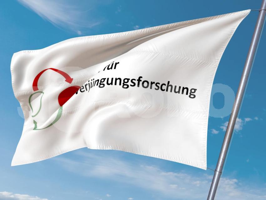 Verjüngungsforschung Partei