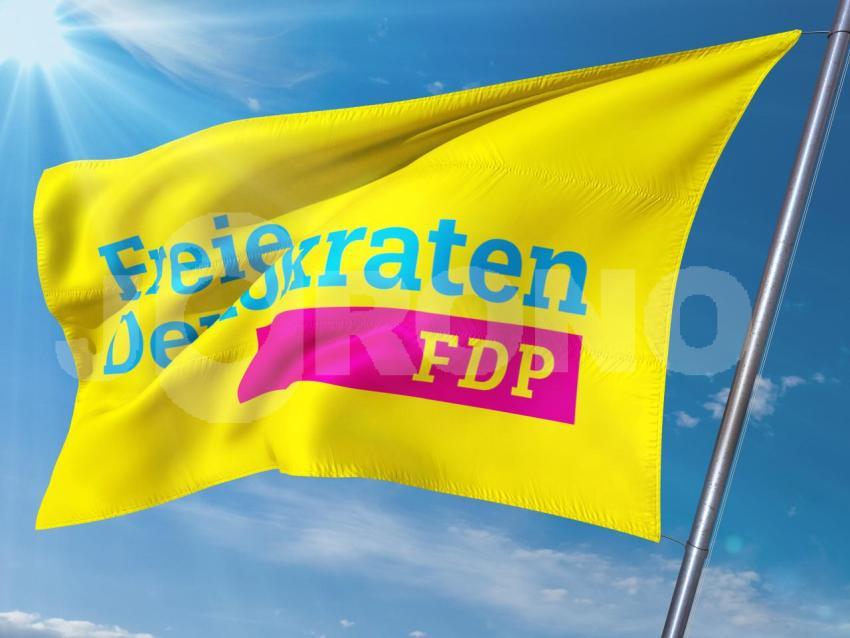 FDP Partei