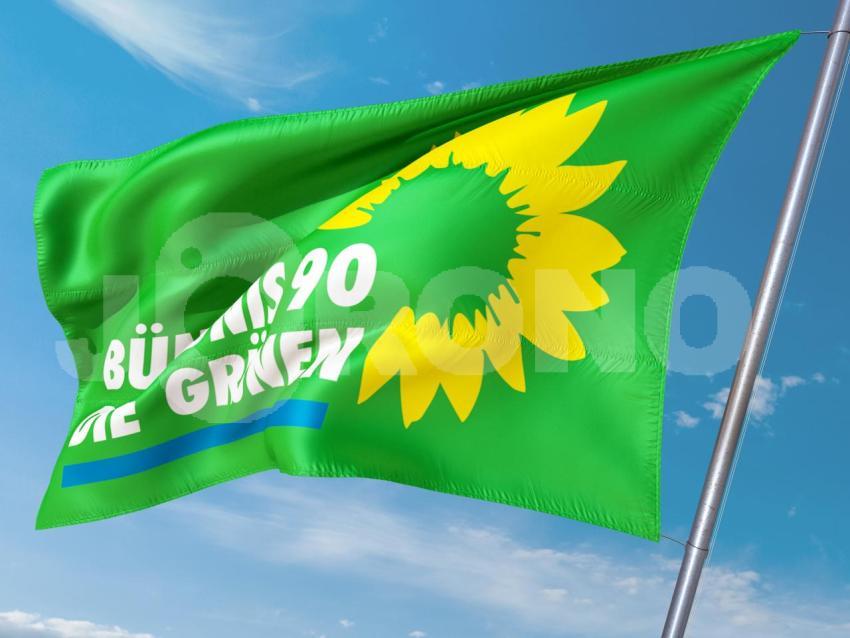 Bündnis 90 Die Grünen Partei
