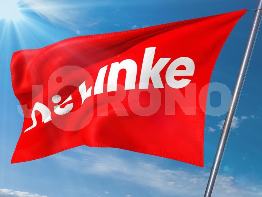 Die Linke Partei