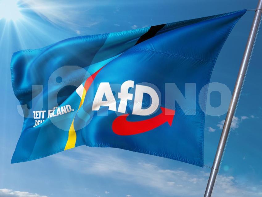 AFD   Partei