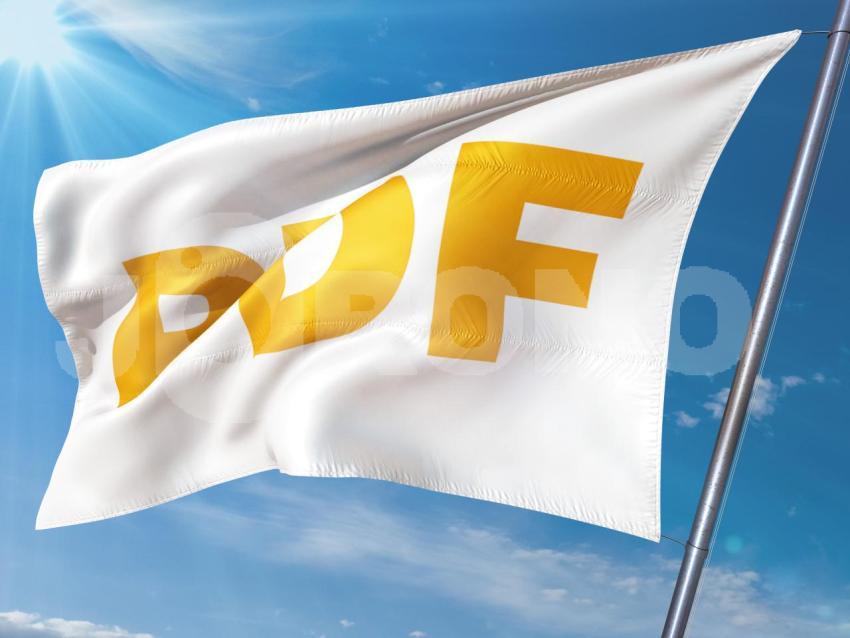 PDF Partei
