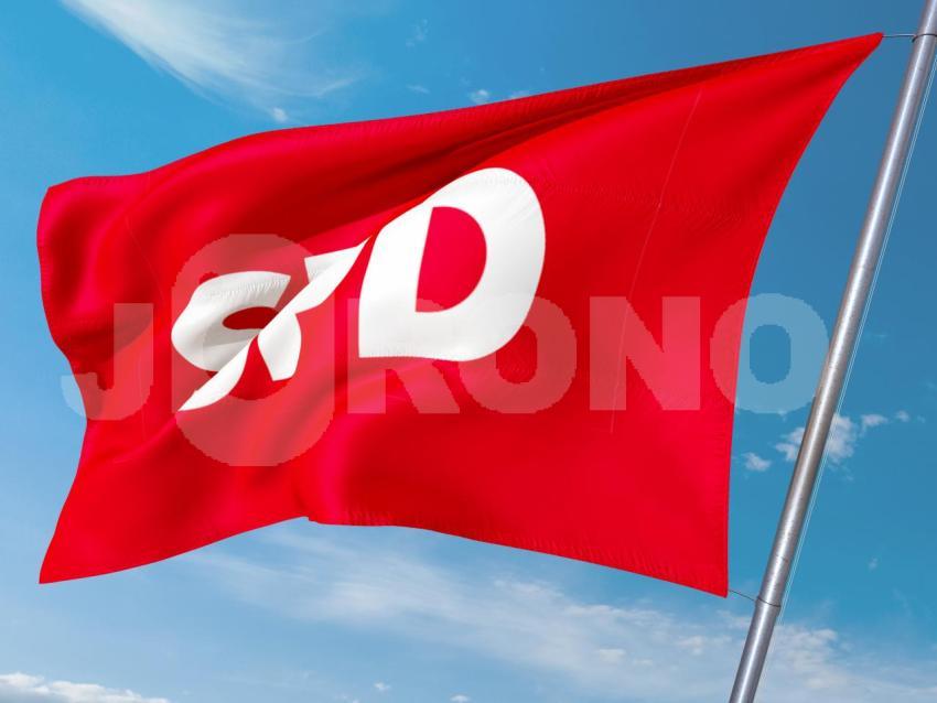 SPD Partei
