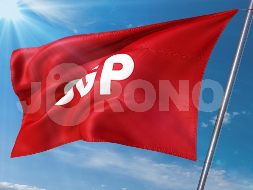 SGP Partei