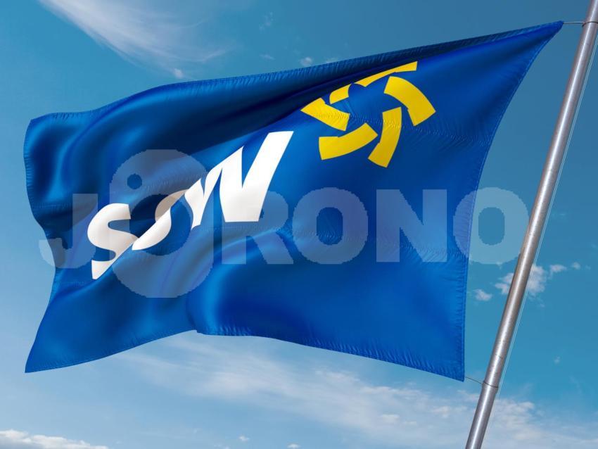 SSW Partei