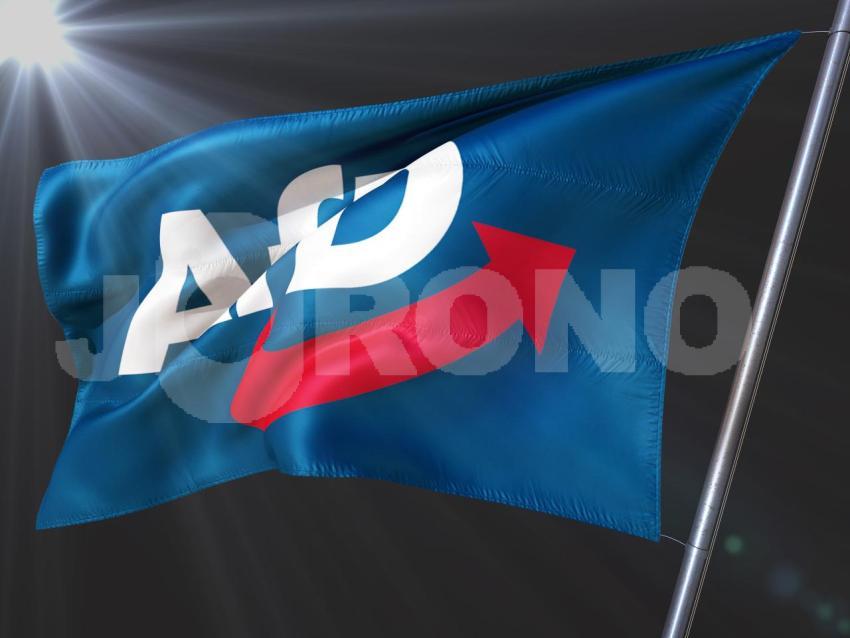 AFD Alternative für Deutschland