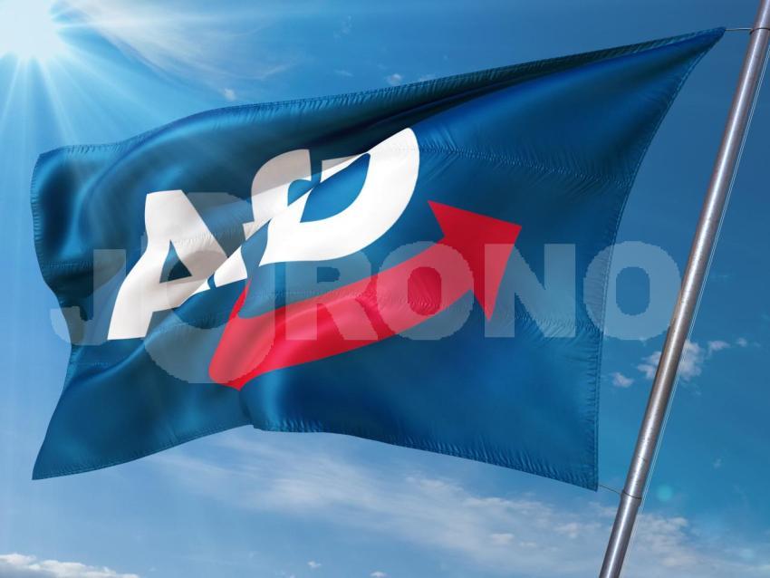 AFD Alternative für Deutschland